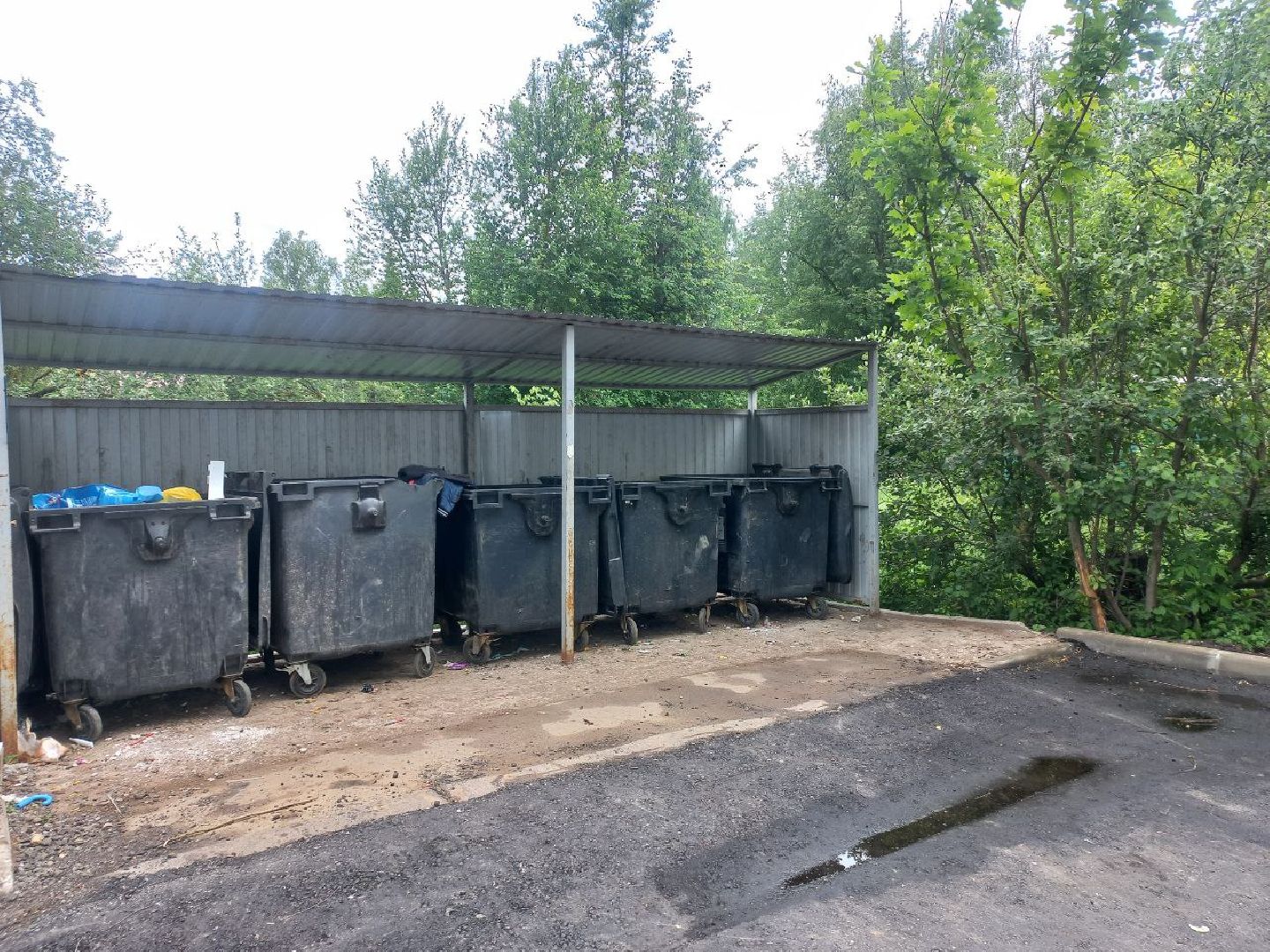 Солнечногорск, контейнеры, цмис, площадка, жители