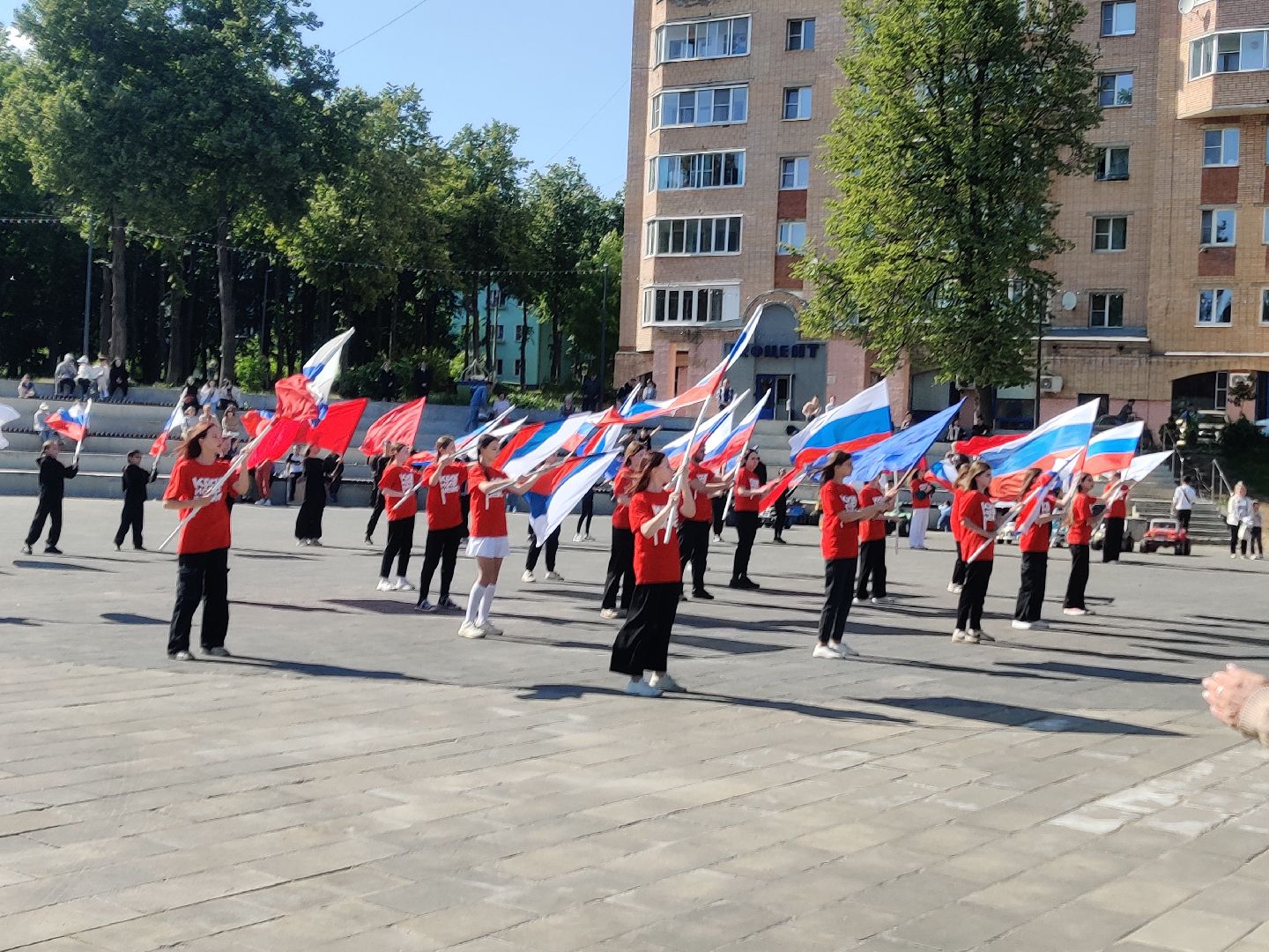 Красноармейск, Пушкинский, триколор, шествие День России