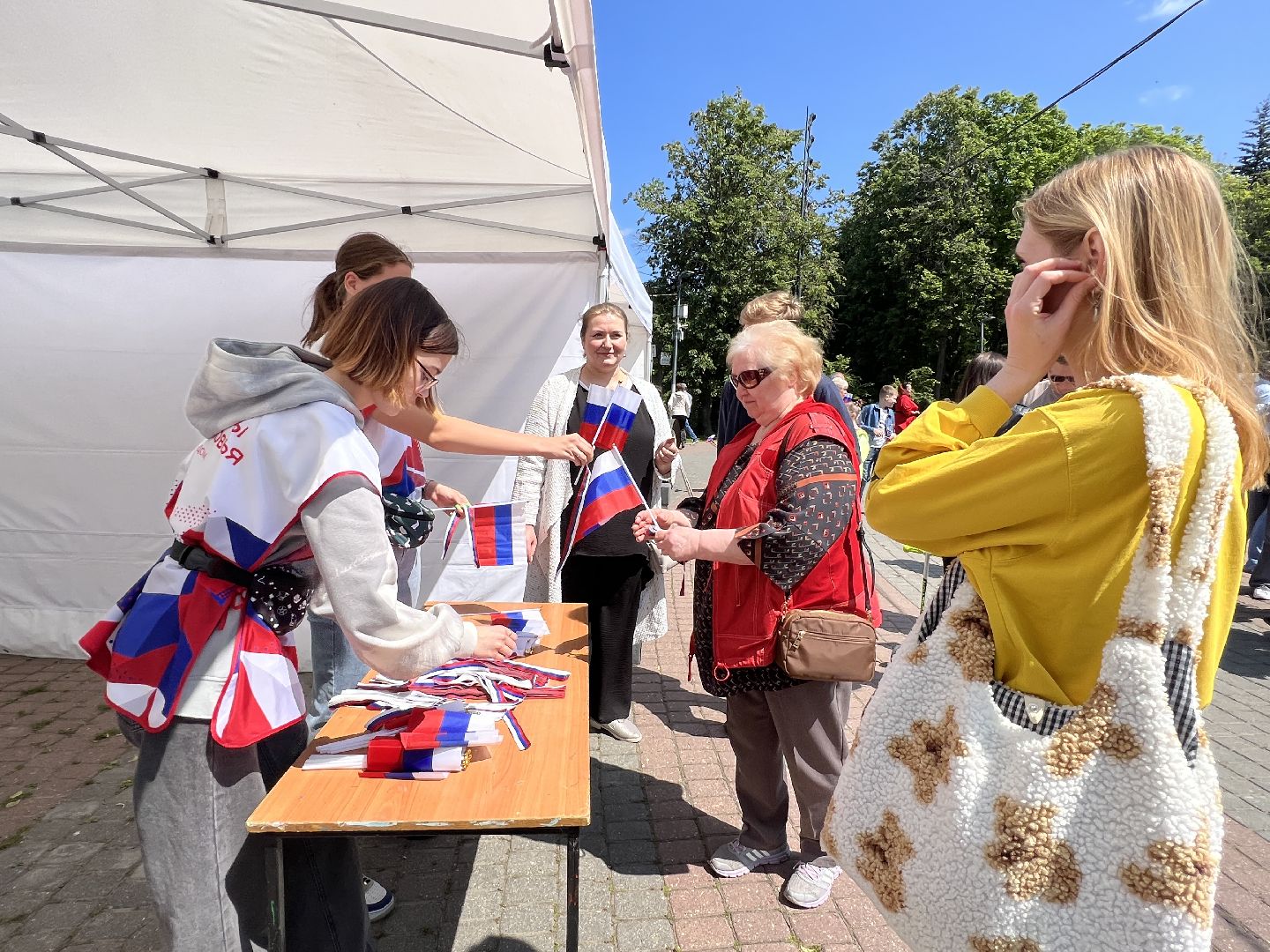 Волонтеры Подмосковья, Химки, День России