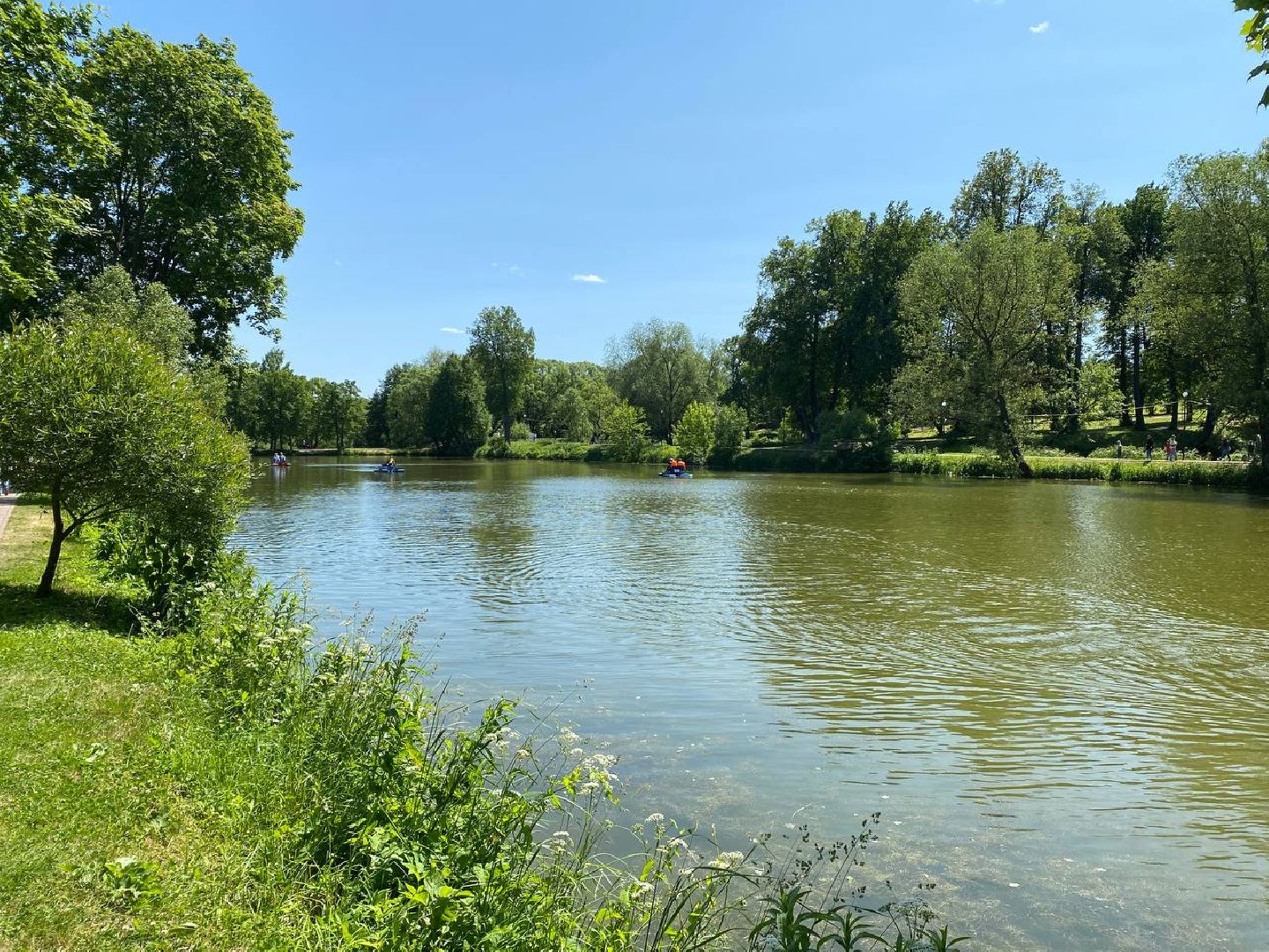 Чехов, День России, праздник, парк, катание, катамаран