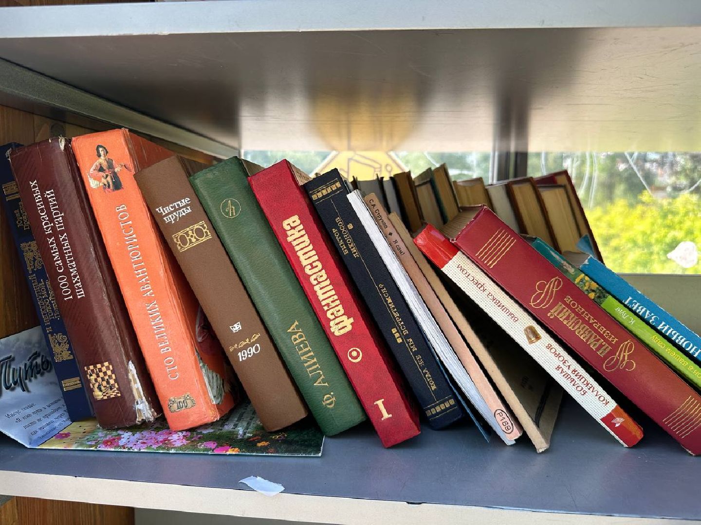 Реутов, День России, Фабричный пруд, праздник, мерорприятия