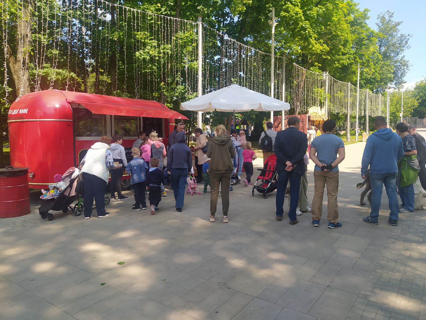 Истра, день России, триколор, флаг