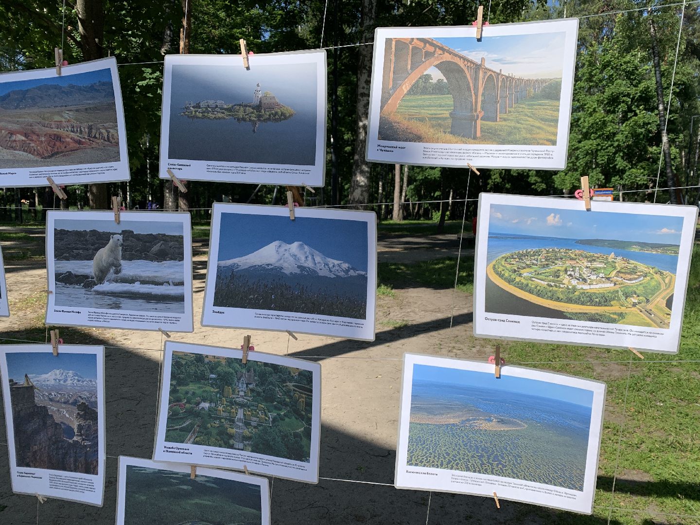 Балашиха, Подмосковье, выставки, концерты, парки