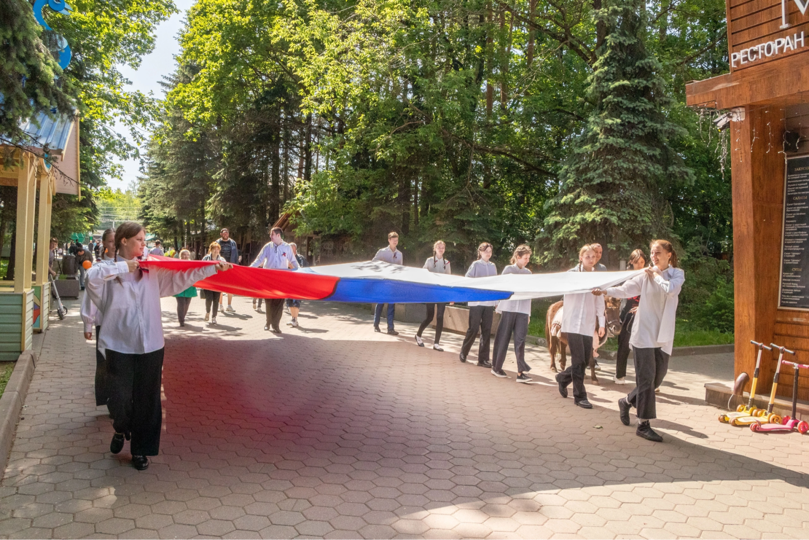 Домодедово, шествие с флагом, День России, флаг России