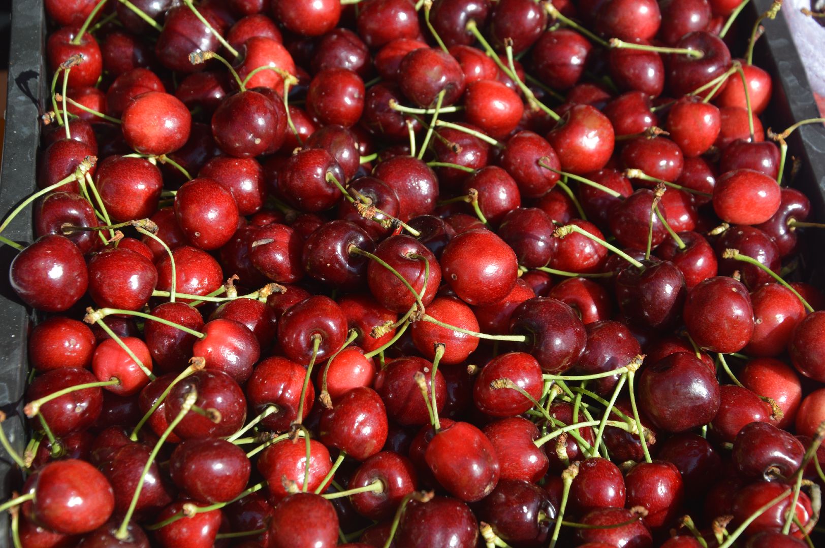 ярмарка, парк, Шатура,