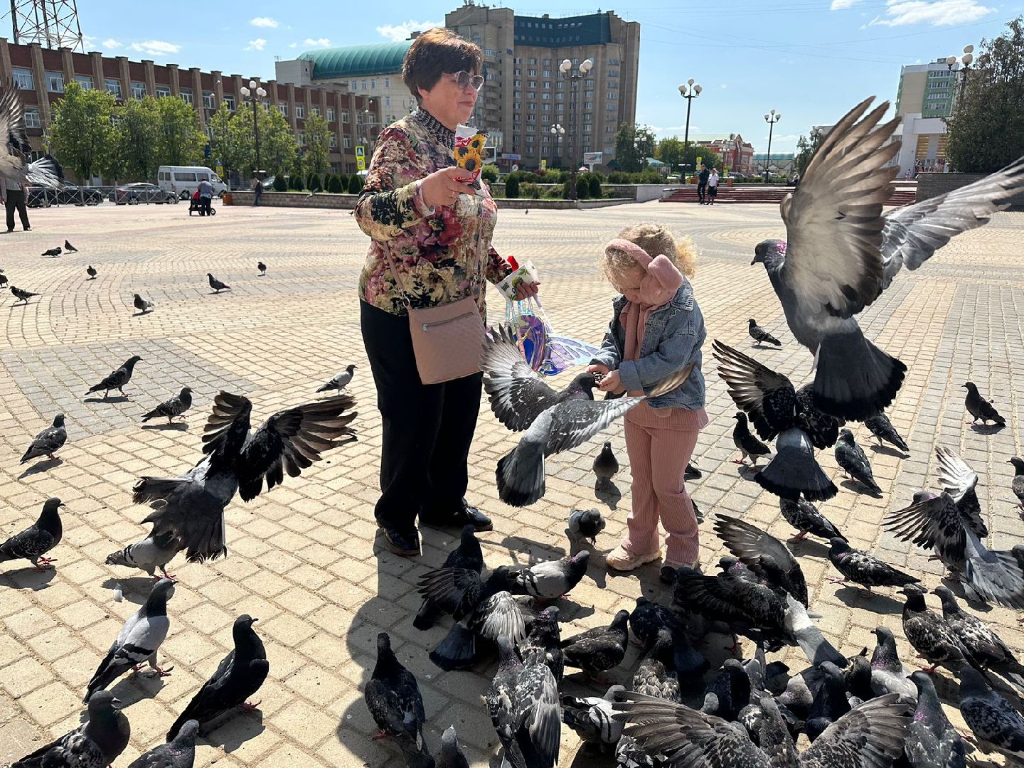 День России, Наро-Фоминск