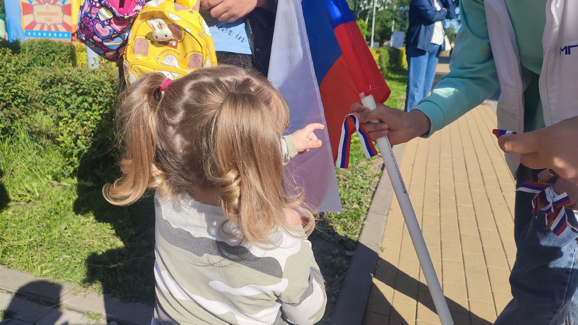 Кашира, День России, парк, волонтёры, флаг, акция