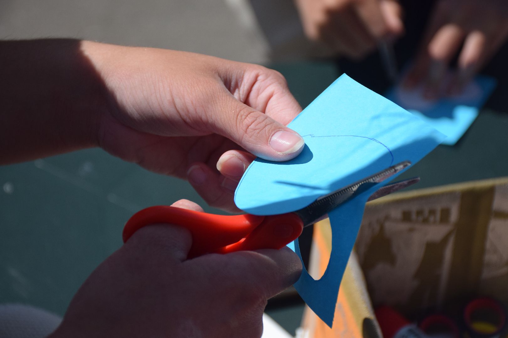 Павловский Посад, городской округ Павловский Посад, дети, День России, образование