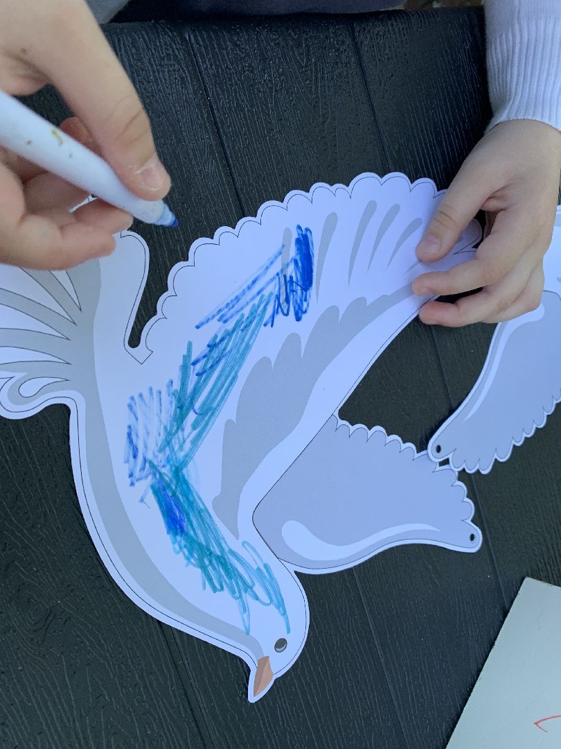 Балашиха, Подмосковье, мастер-классы, голубь мира, дети, парки