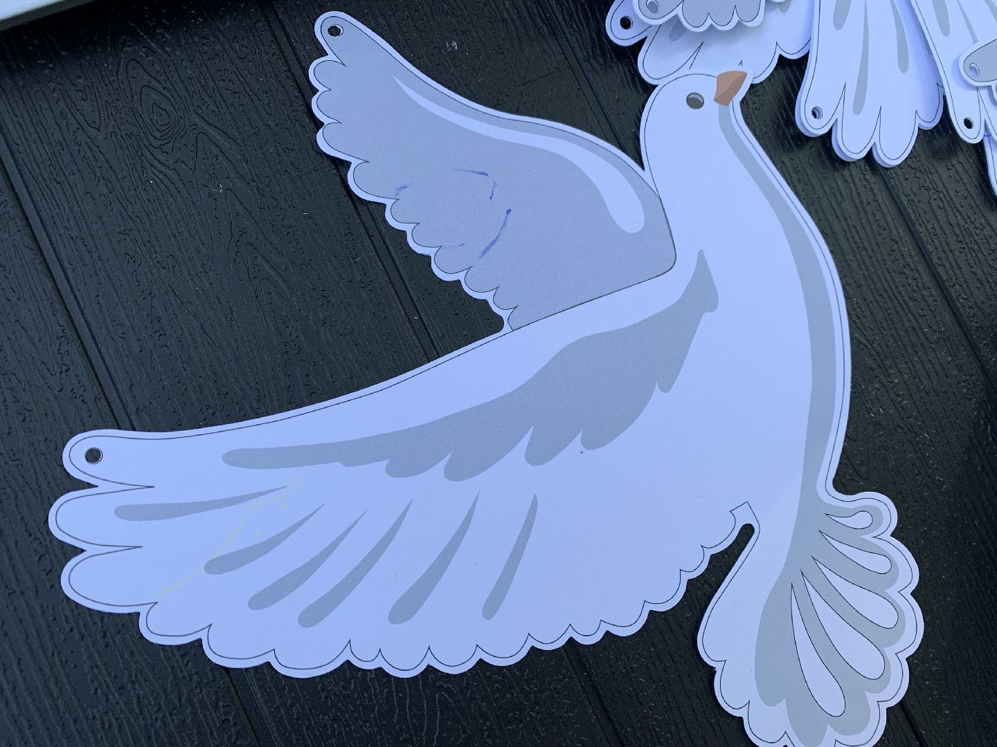 Балашиха, Подмосковье, мастер-классы, голубь мира, дети, парки