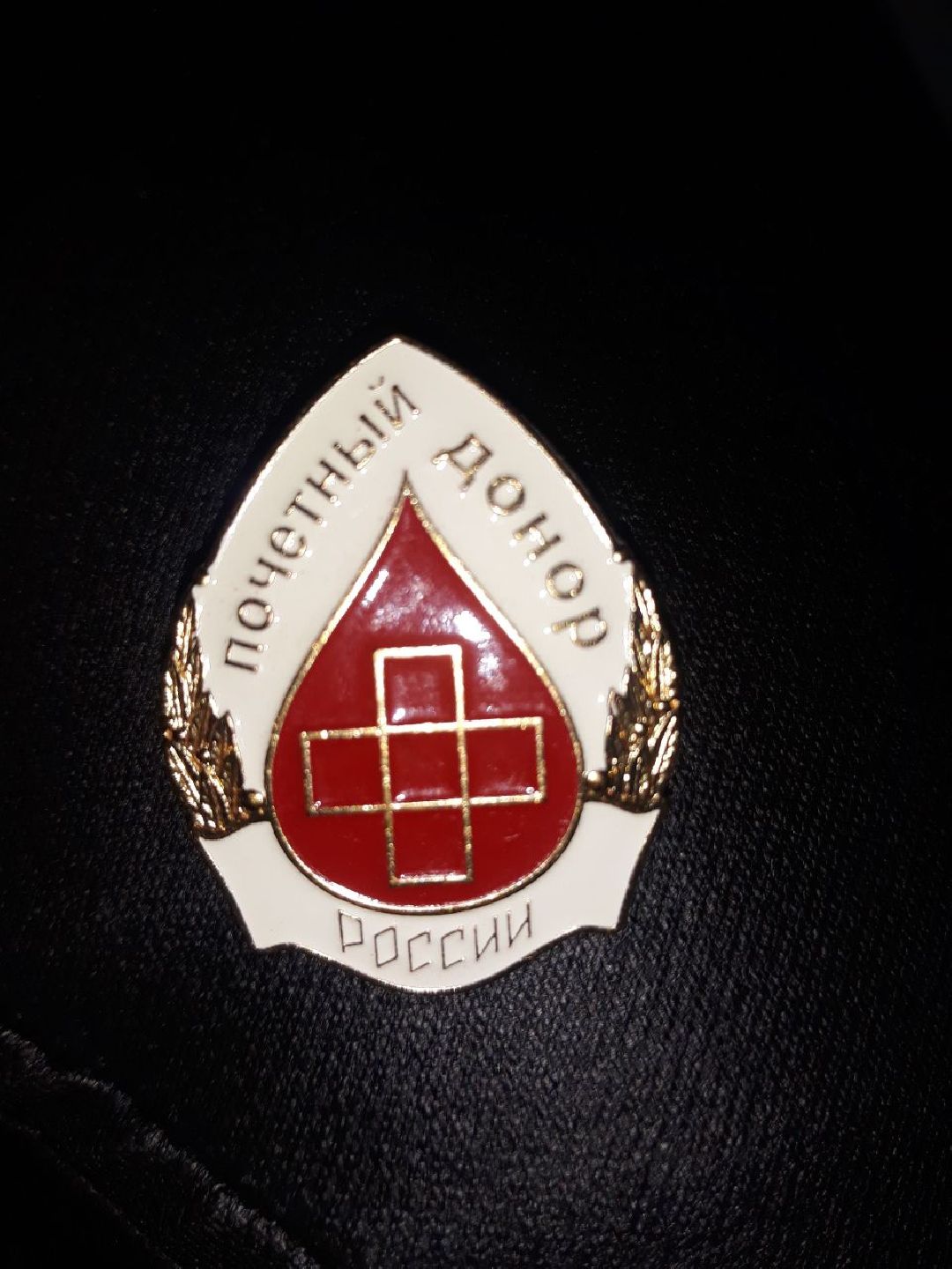 Раменское, общество, волонтеры, доноры