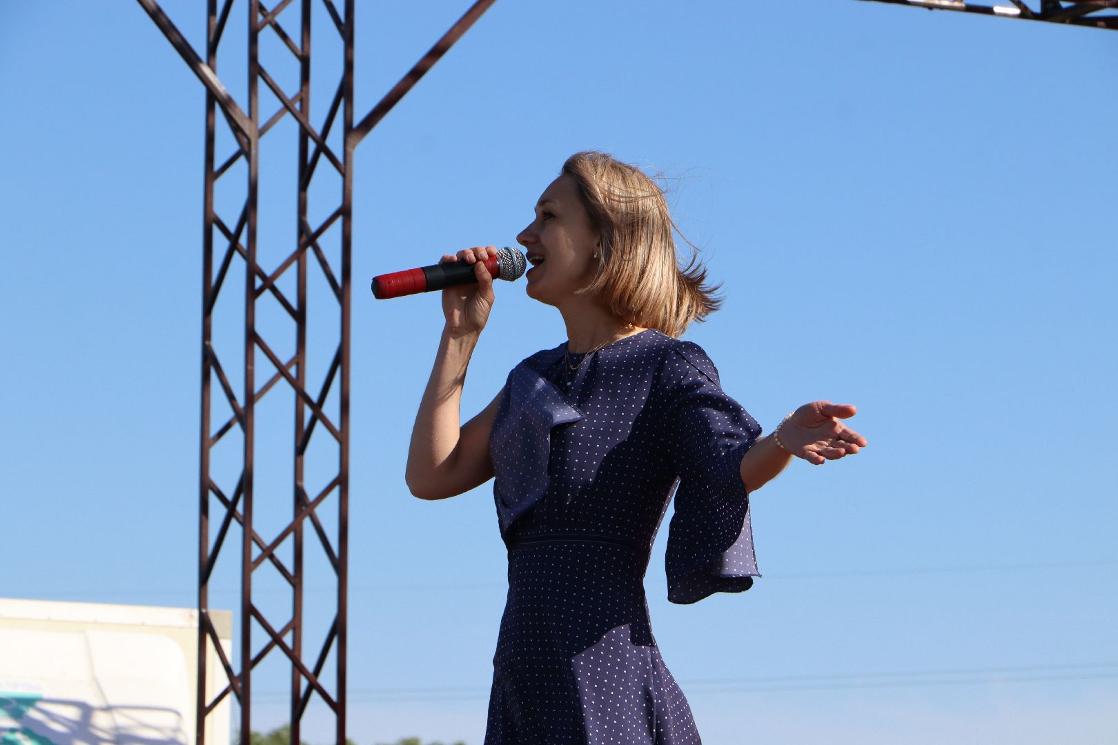 Серебряные Пруды, День России, Парк