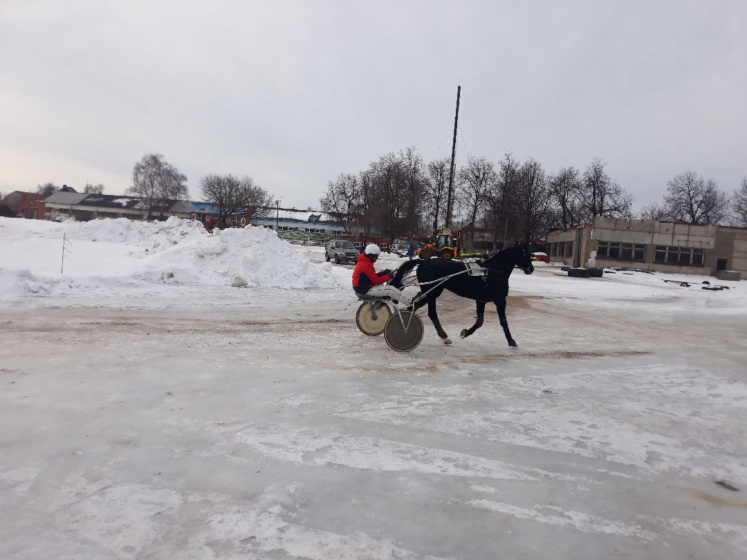 Раменское, конный спорт,
