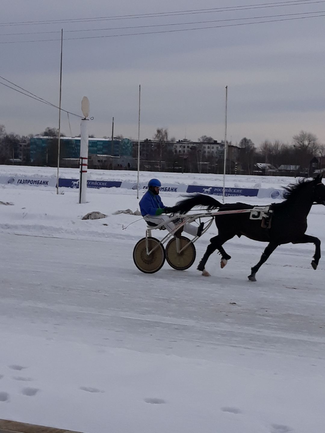Раменское, конный спорт,