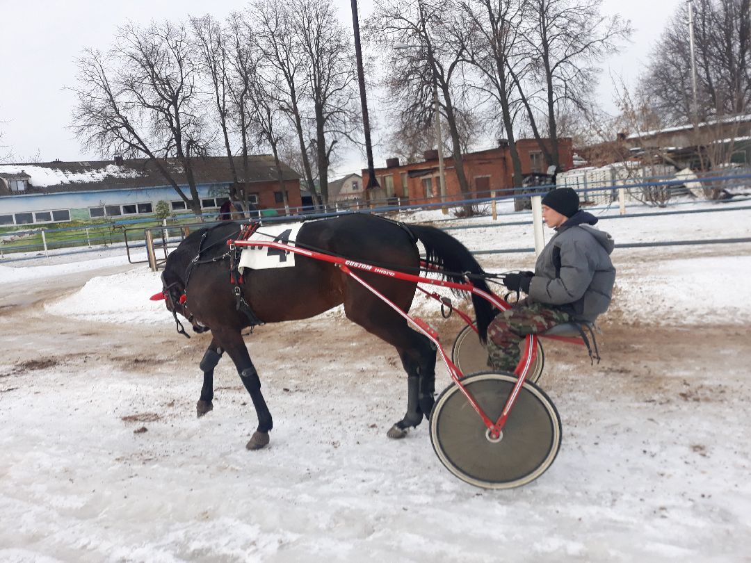 Раменское, конный спорт,