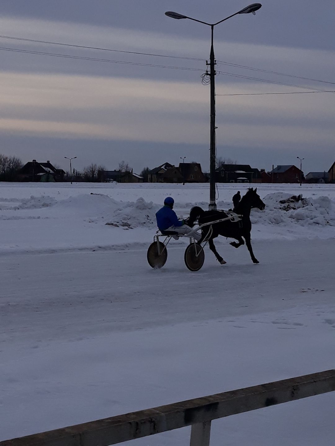 Раменское, конный спорт,