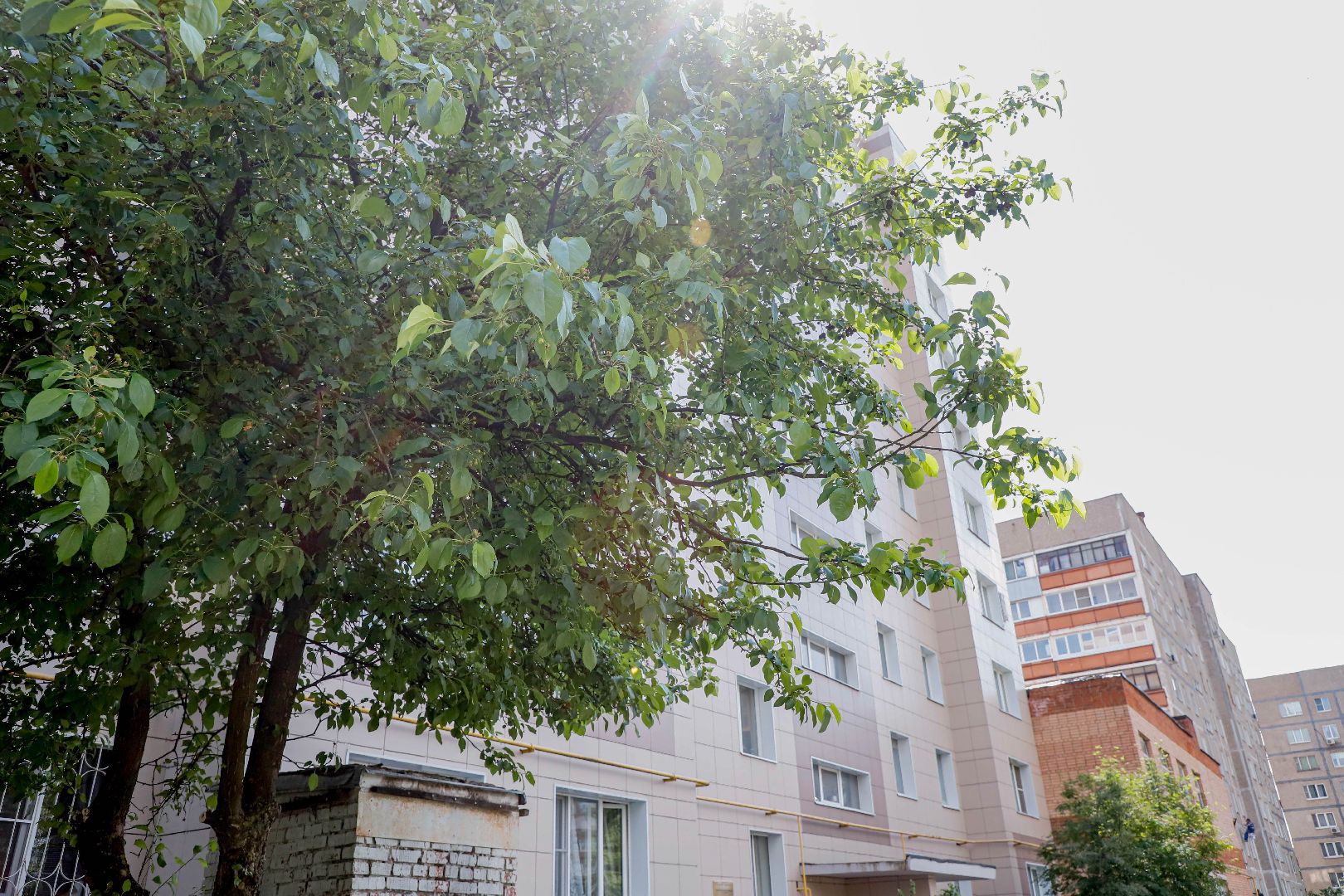 ремонт подъездов, Домодедово