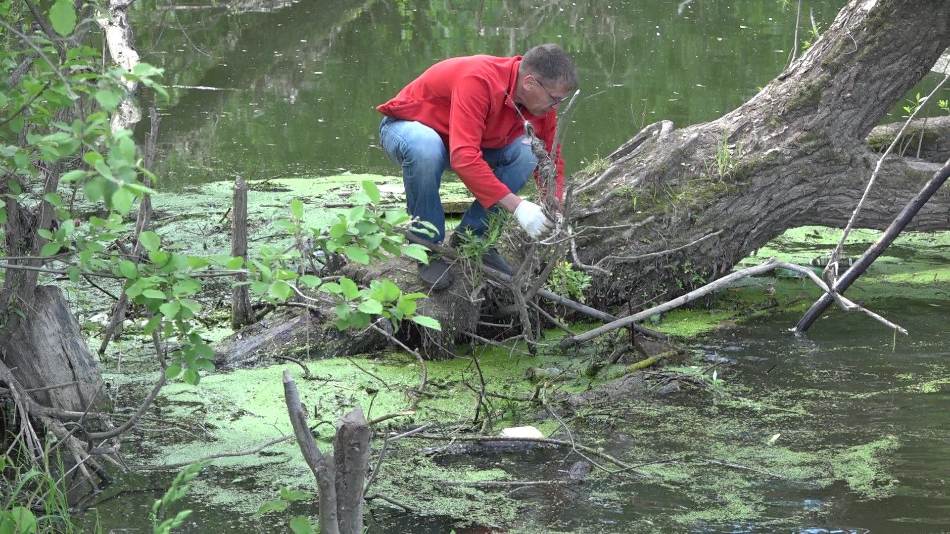 субботник на Рожайке, Домодедово