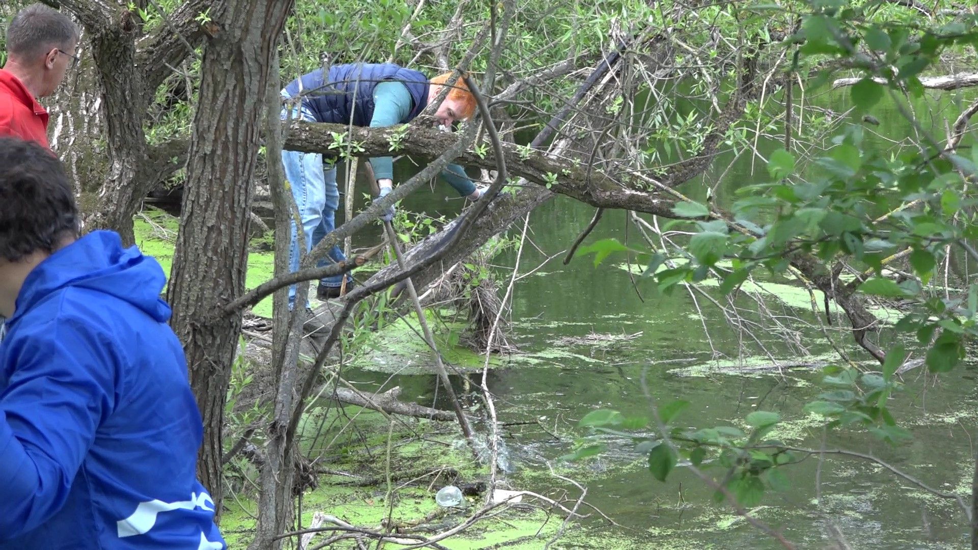 субботник на Рожайке, Домодедово