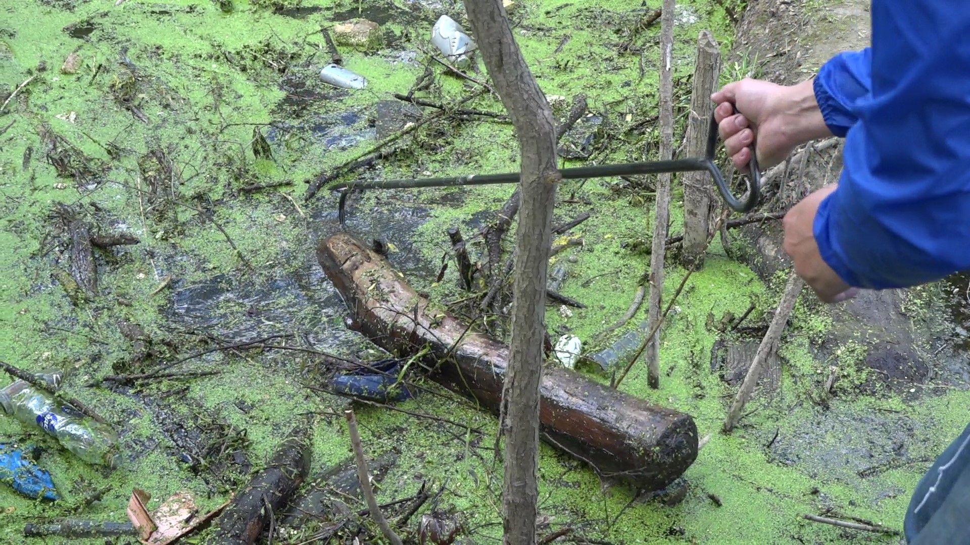 субботник на Рожайке, Домодедово