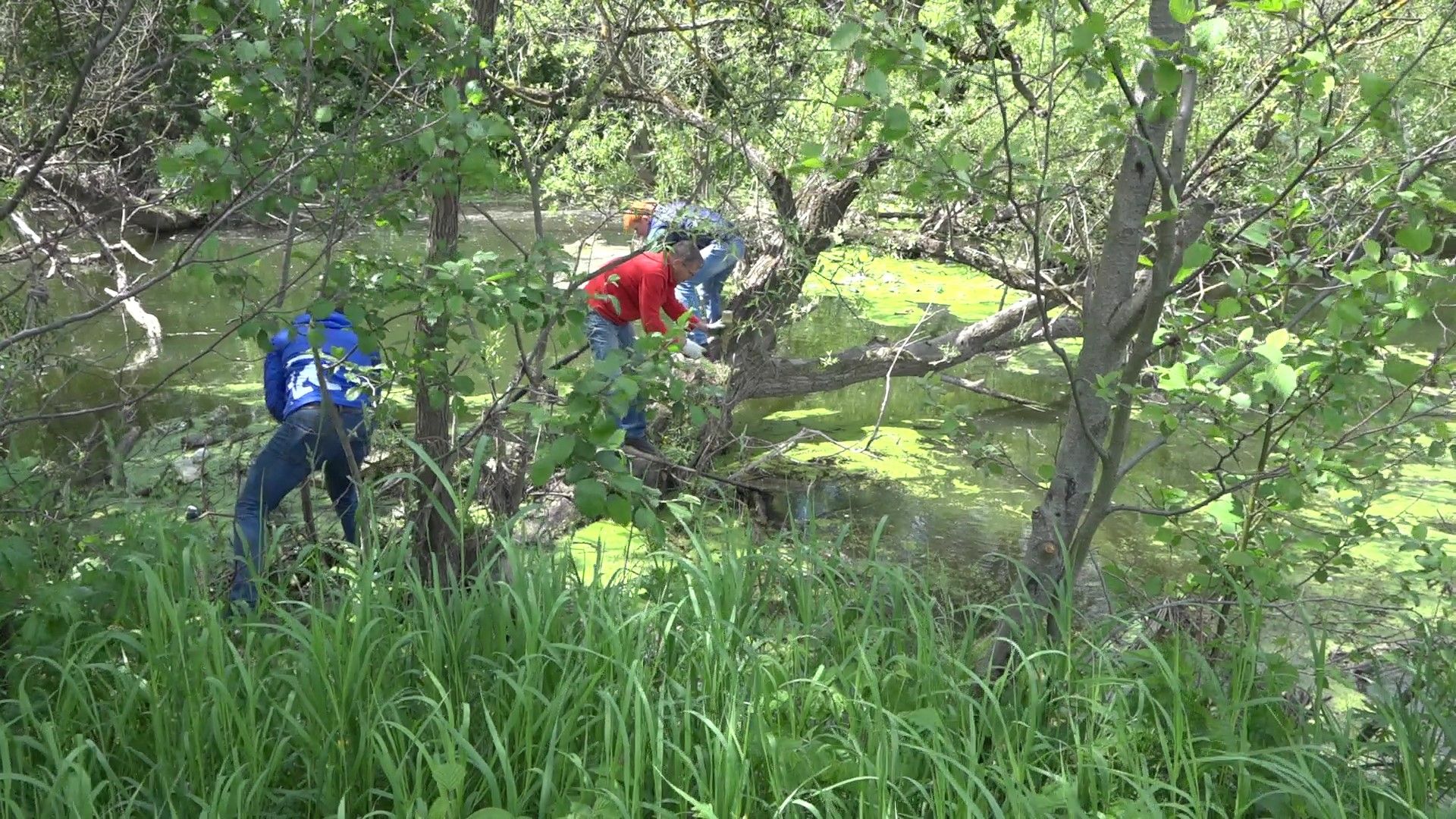 субботник на Рожайке, Домодедово