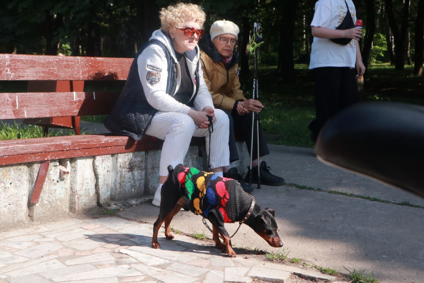 Пущино, День России