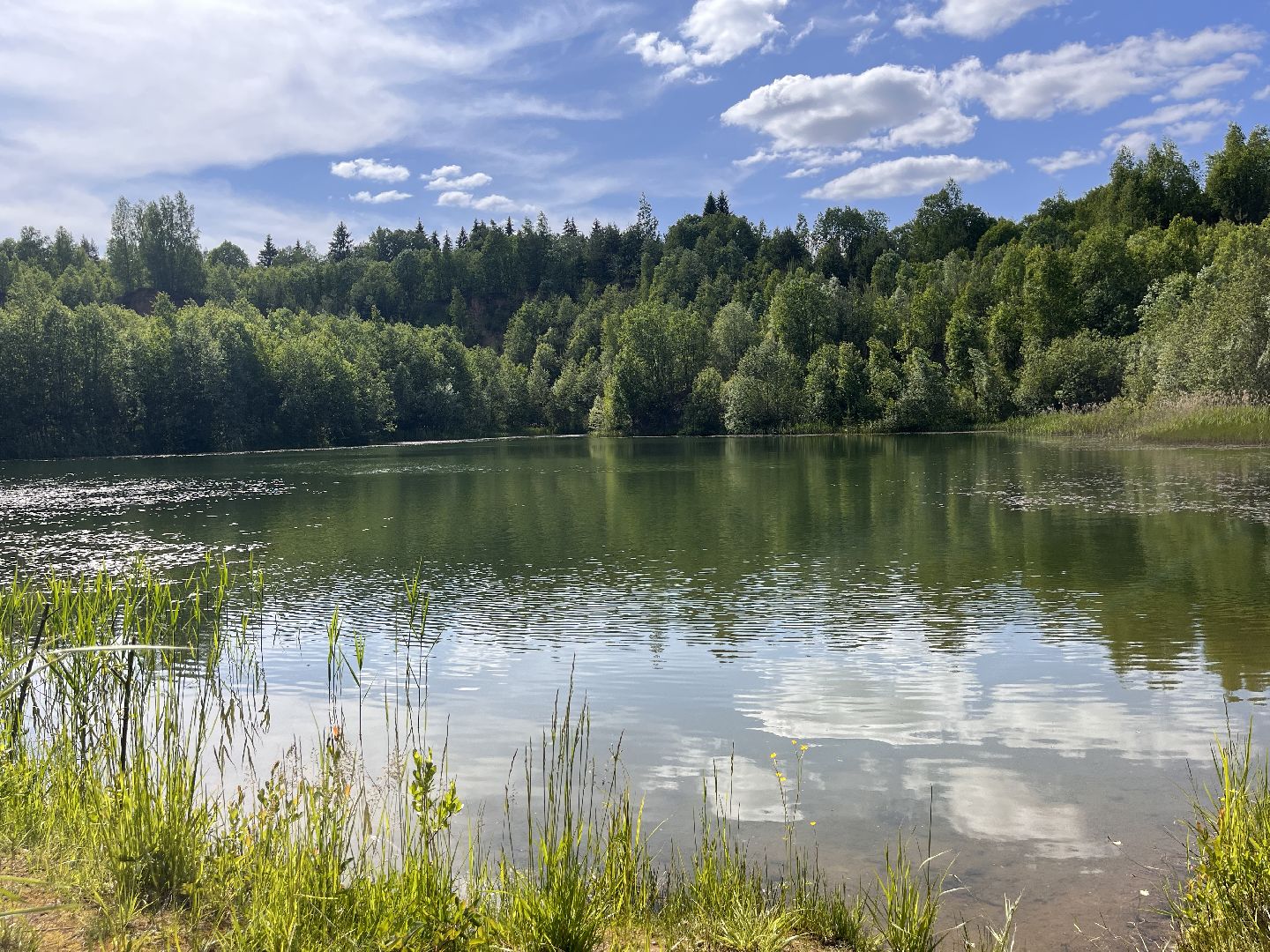 Шаховская, озера, купание