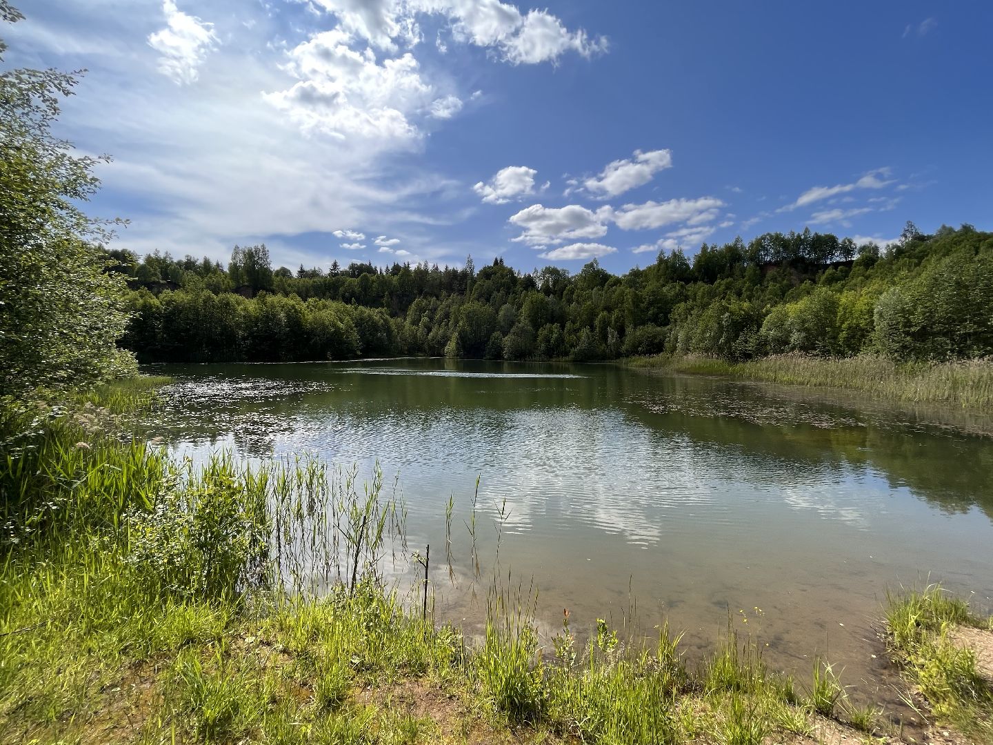 Шаховская, озера, купание
