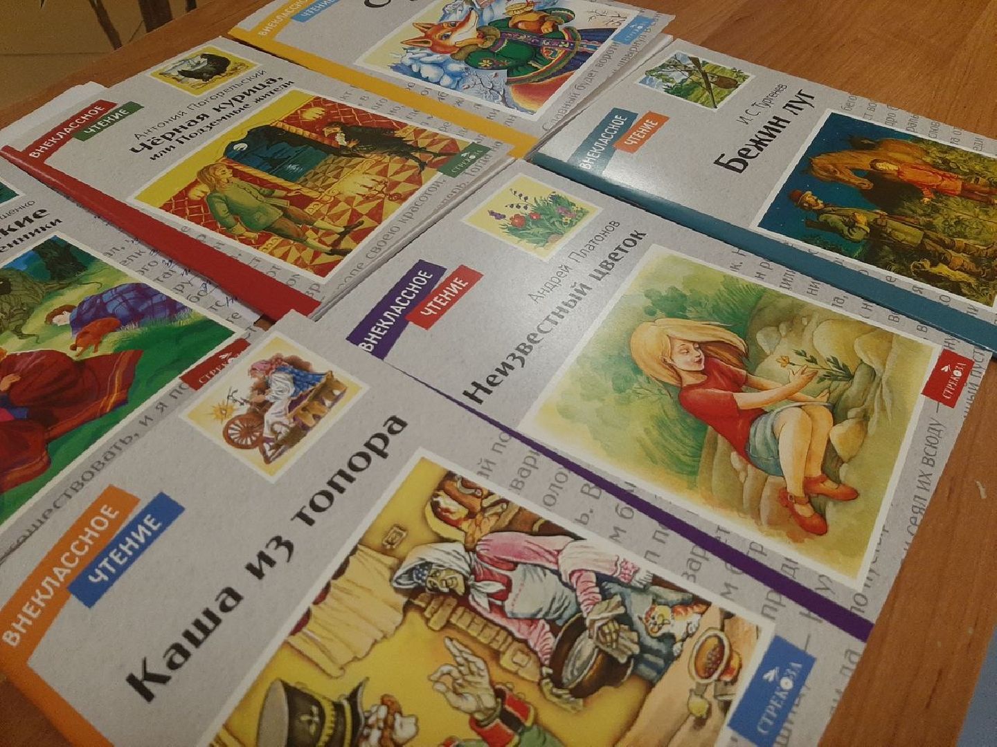 Реутов, образование, акция, благотворительности, книги, литература