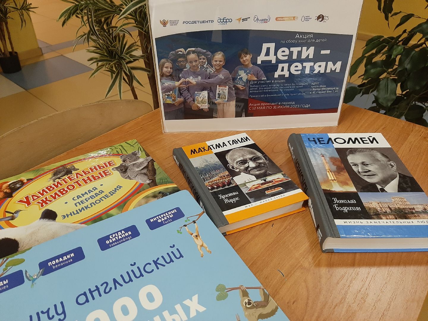 Реутов, образование, акция, благотворительности, книги, литература