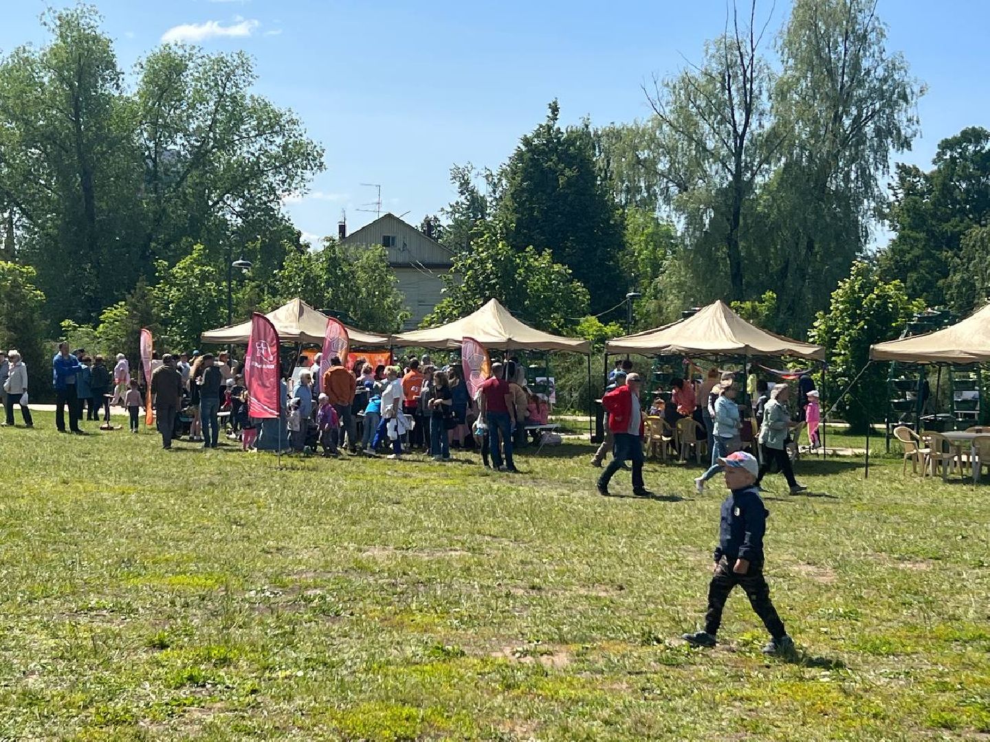 Солнечногорск, праздник, День России, концерт, выставка