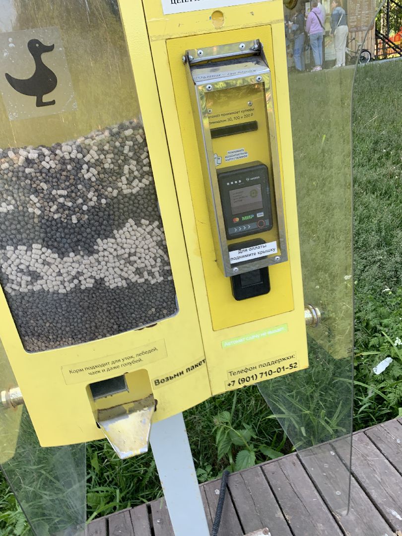 Экология, природа, забота о птицах, лето в подмосковье,