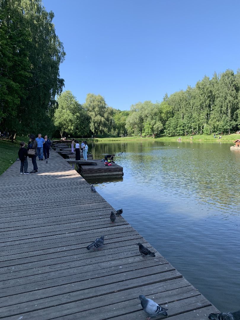 Экология, природа, забота о птицах, лето в подмосковье,