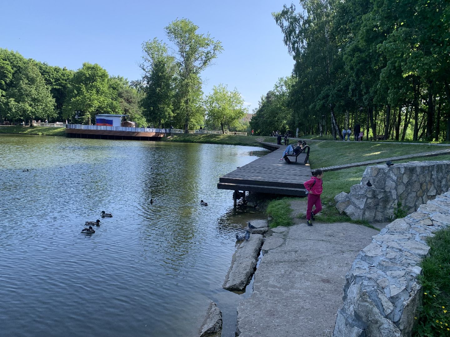 Экология, природа, забота о птицах, лето в подмосковье,