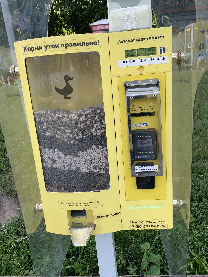 Экология, природа, забота о птицах, лето в подмосковье,