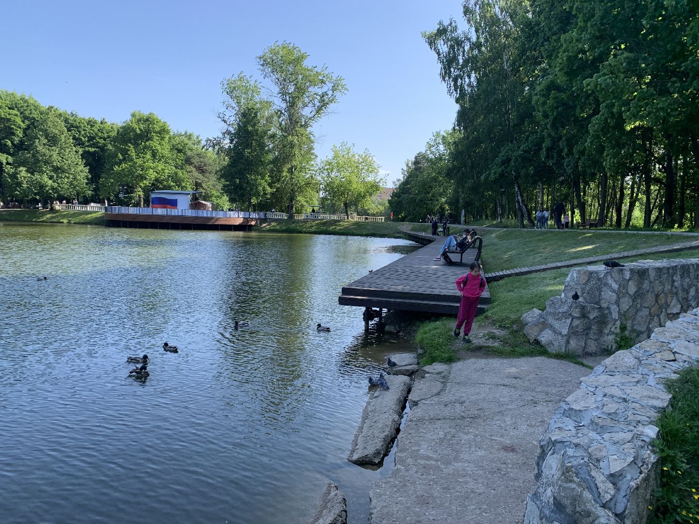 Экология, природа, забота о птицах, лето в подмосковье,