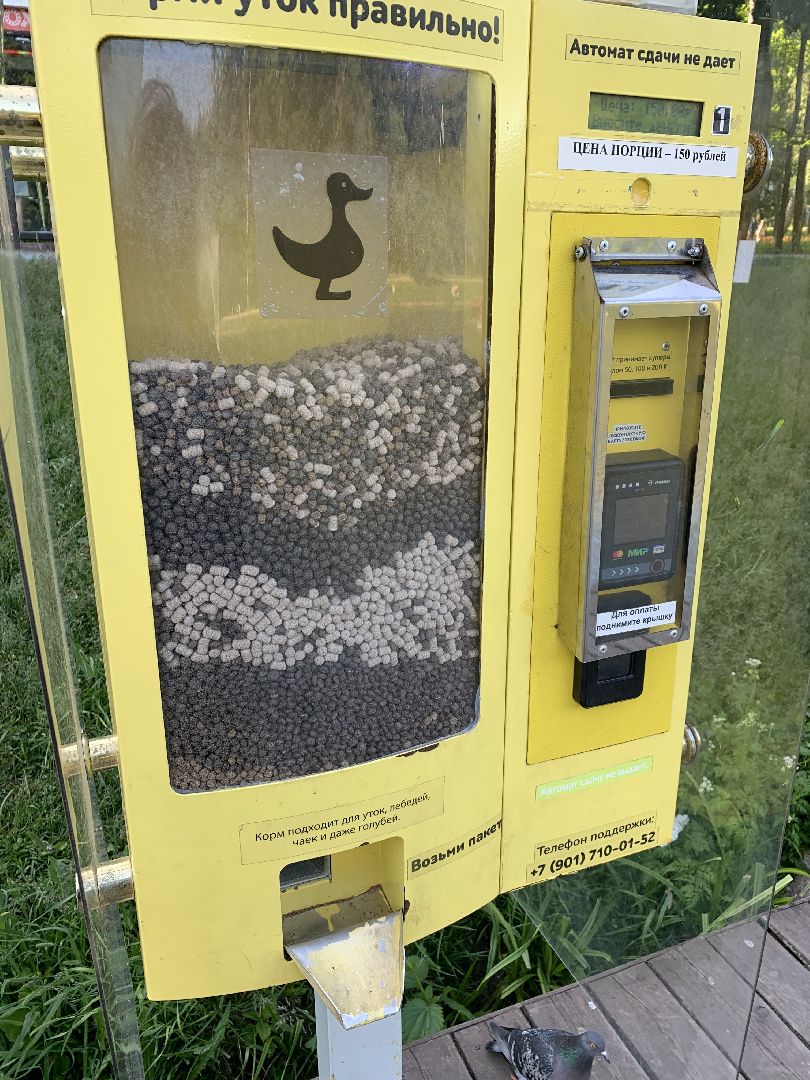 Экология, природа, забота о птицах, лето в подмосковье,