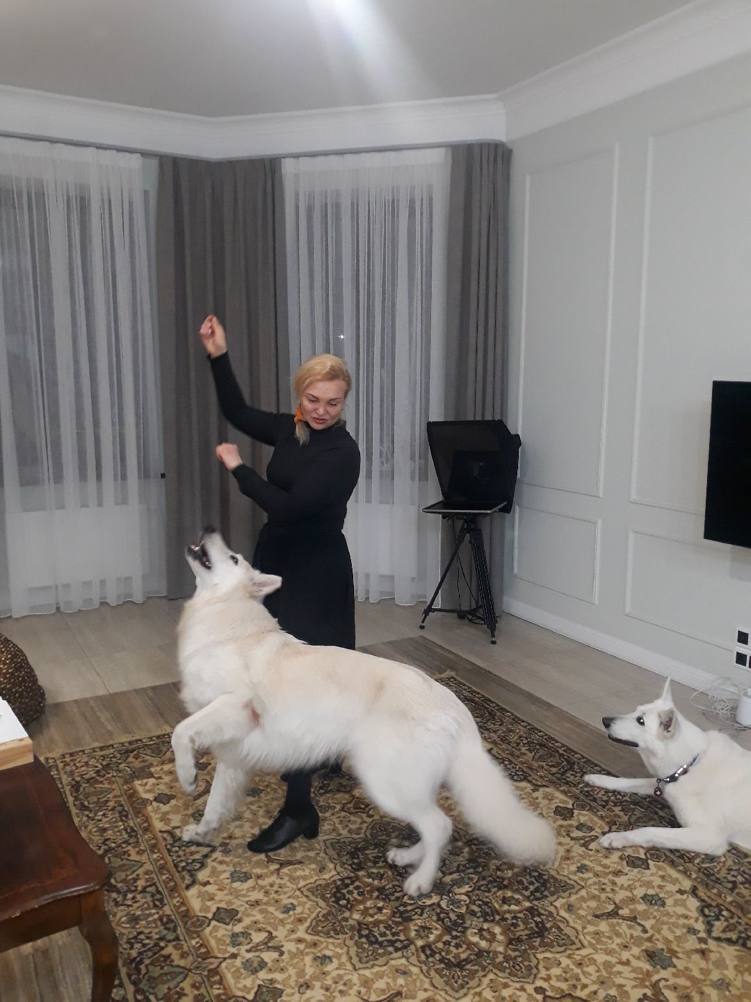 Раменское, общество