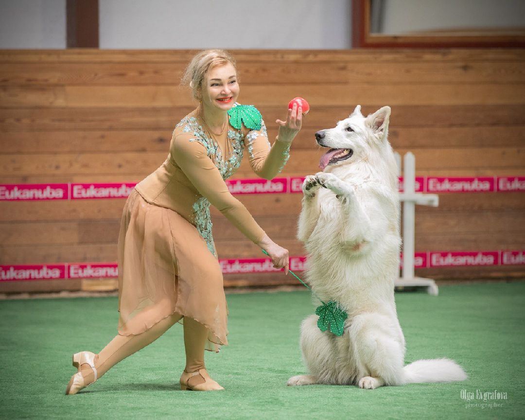 Раменское, общество