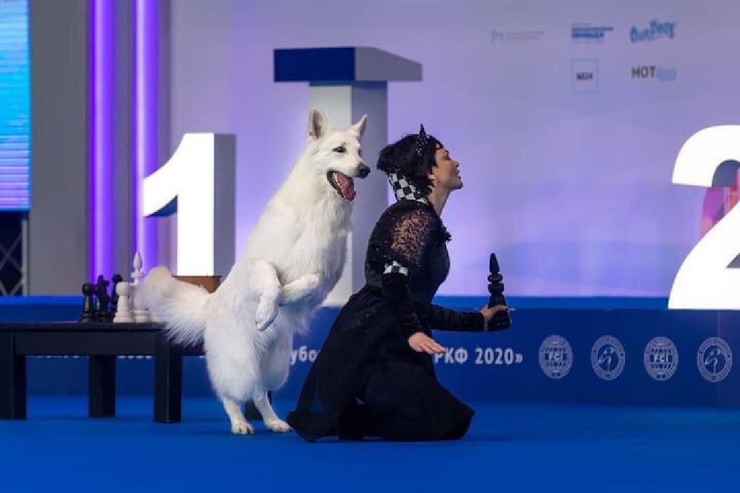 Раменское, общество