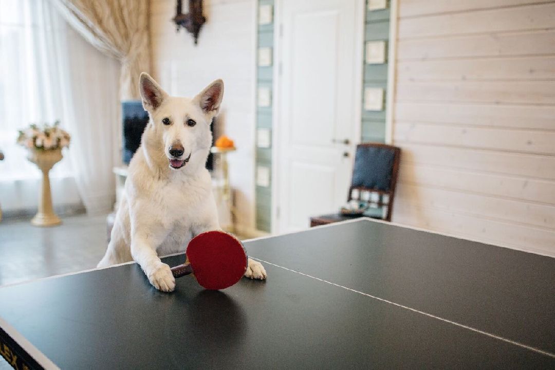 Раменское, общество