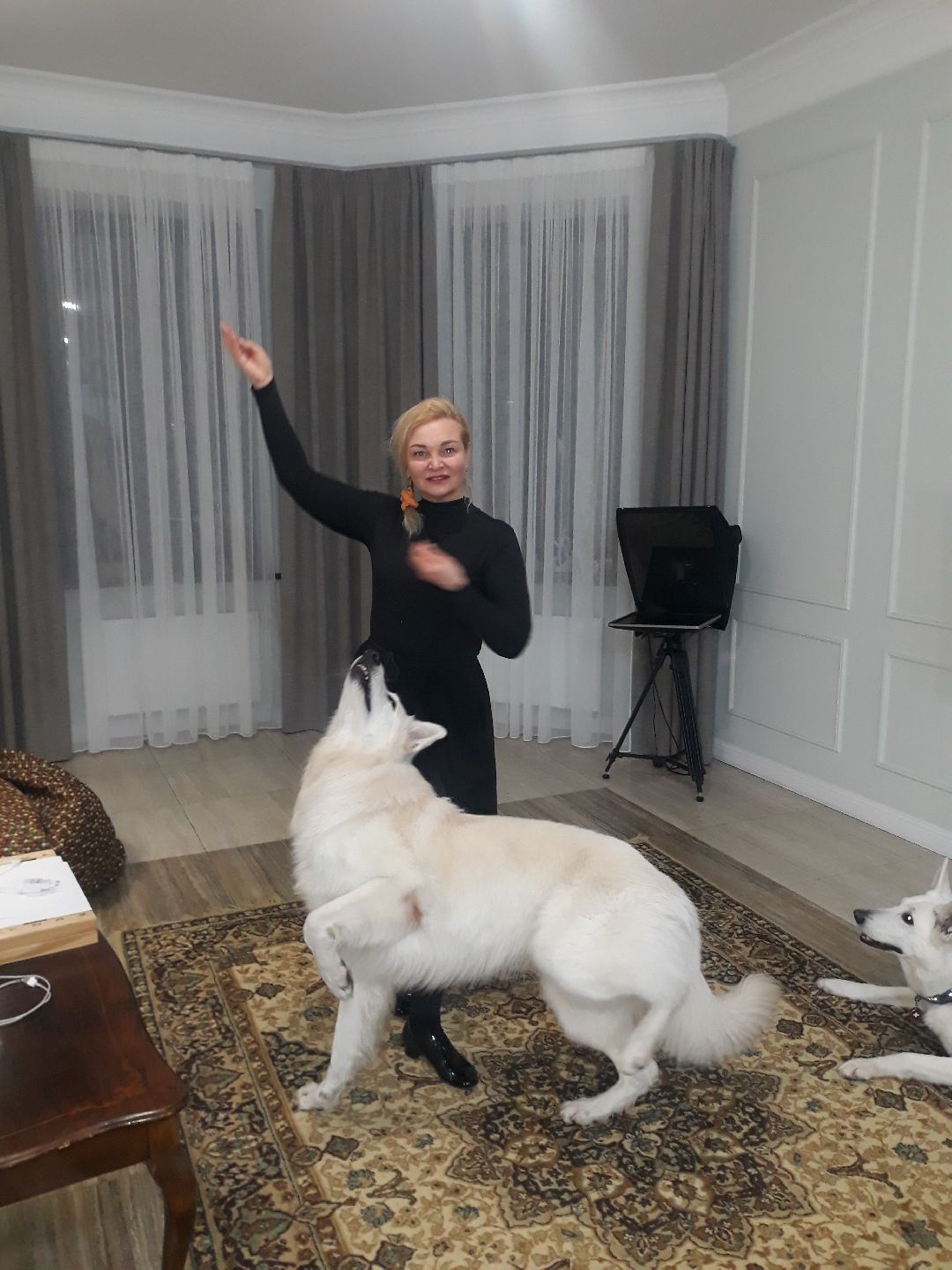 Раменское, общество