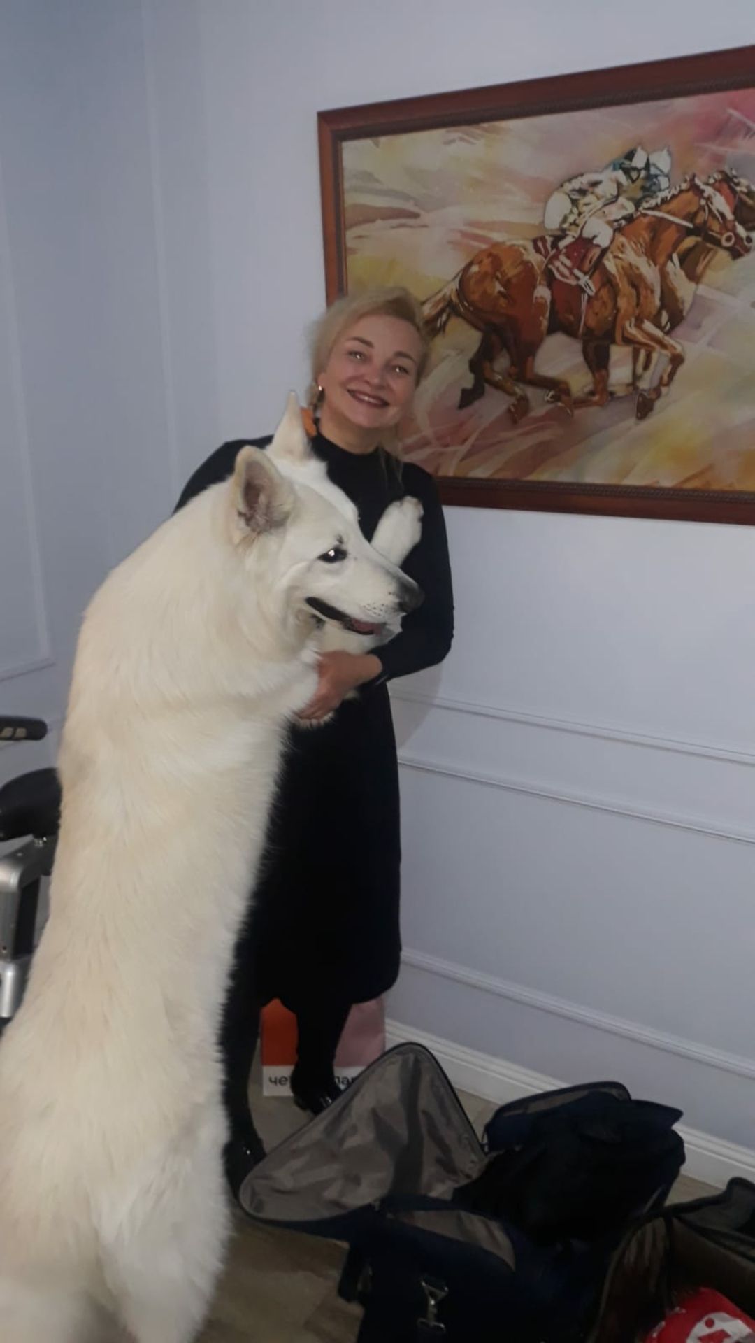 Раменское, общество