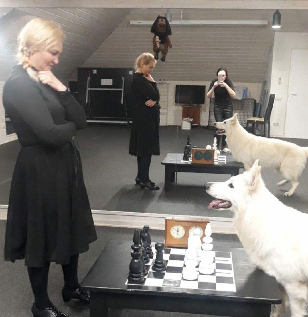 Раменское, общество