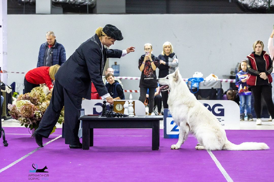 Раменское, общество