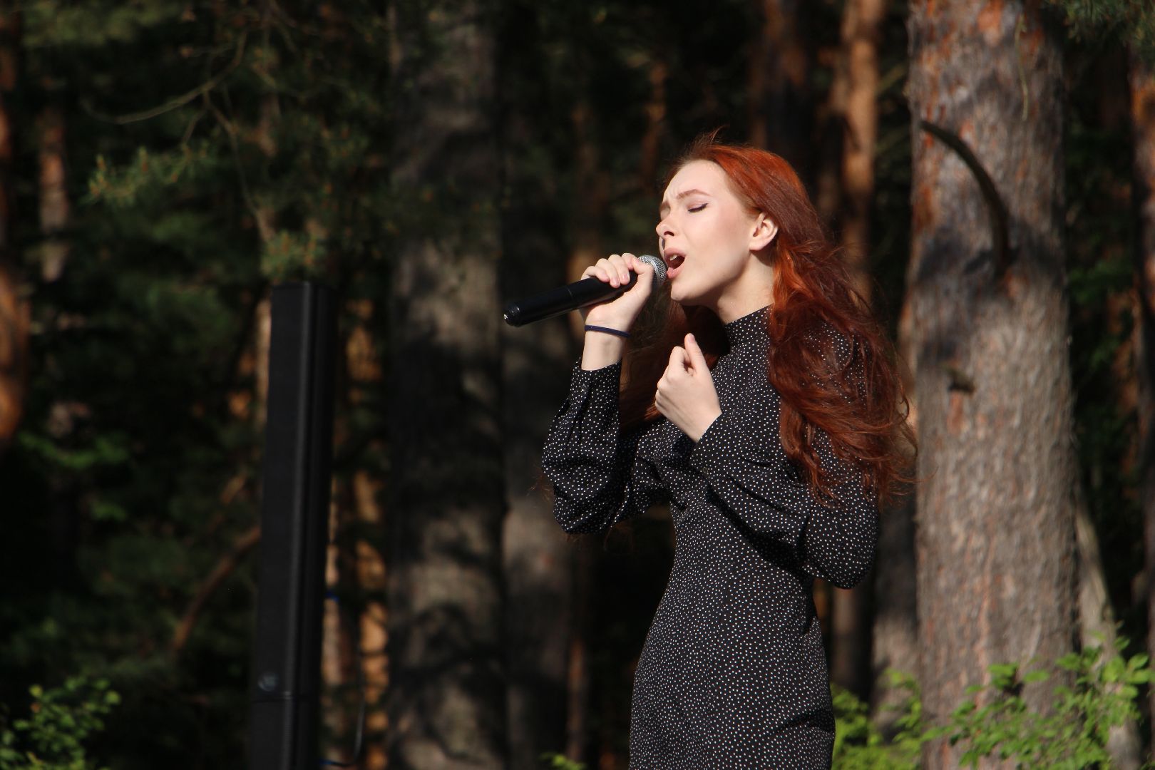 праздник, День России, Протвино, городской карьер, концерт