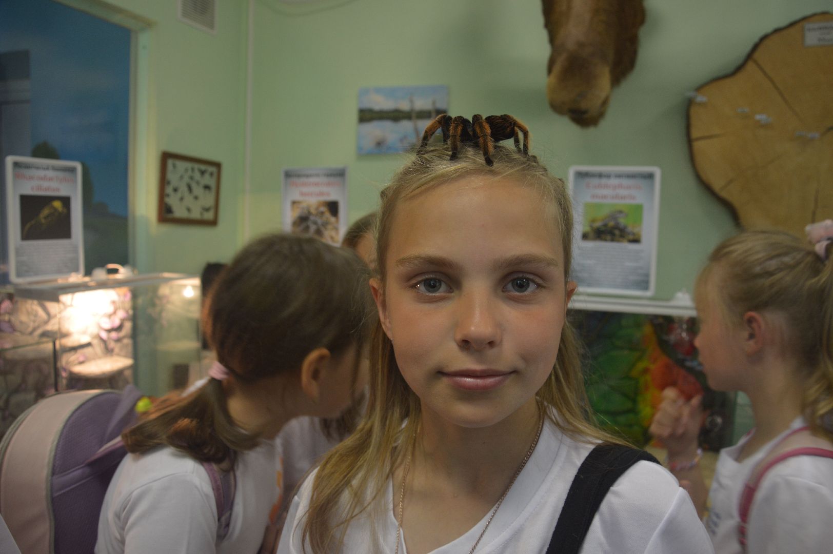 Шатура, гигантские пауки, инстинкт хищника, летний отдых, дети