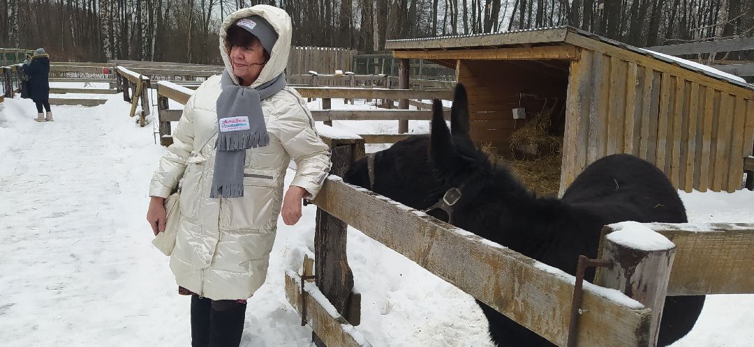 Щёлково, активное долголетие