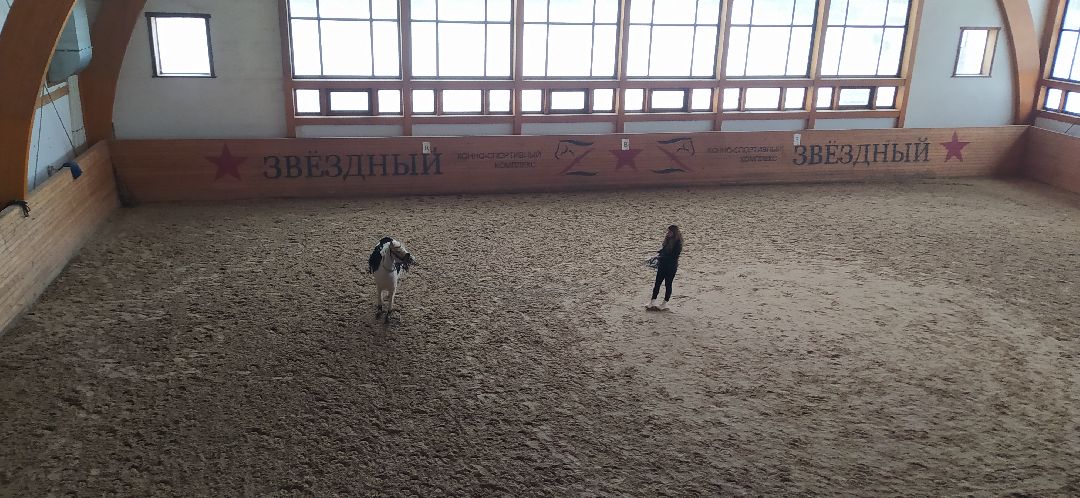 Щёлково, активное долголетие