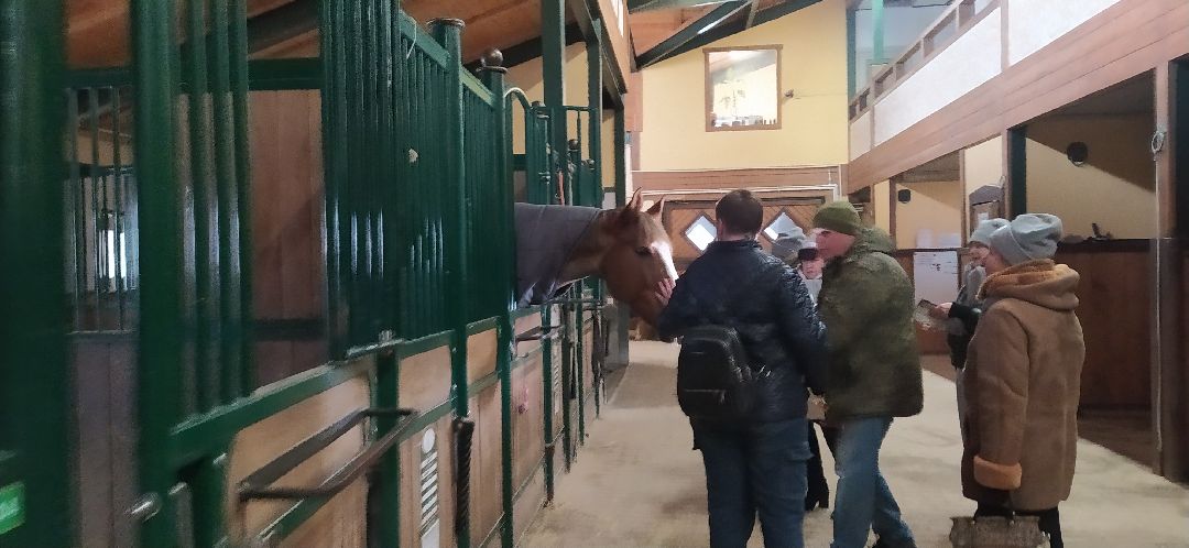 Щёлково, активное долголетие